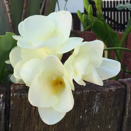 Casa Robledo Сasa de vacaciones